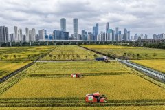 江山壮阔万象新——习近平